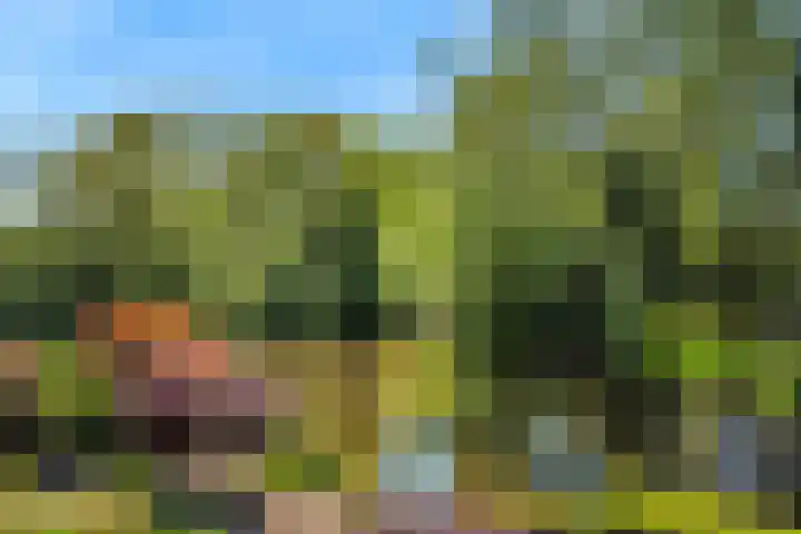 Marsmanlaan 75 Uithoorn thumbnail 36