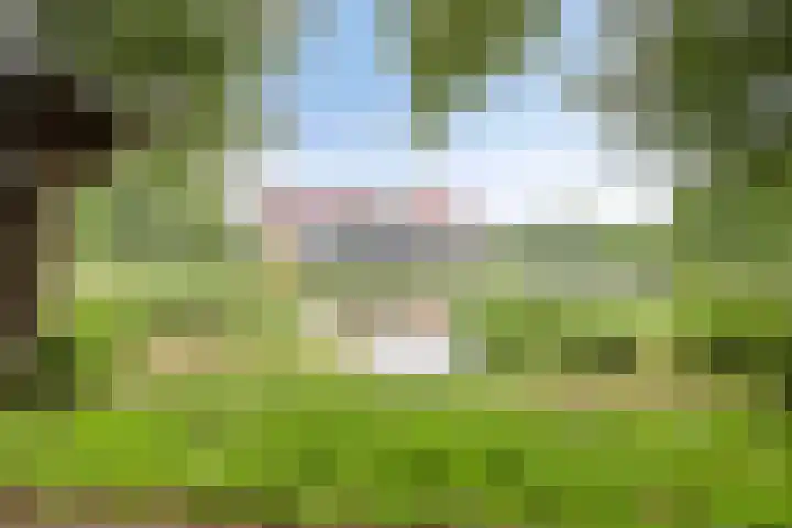 Marsmanplein 25 Oud-Beijerland thumbnail 28