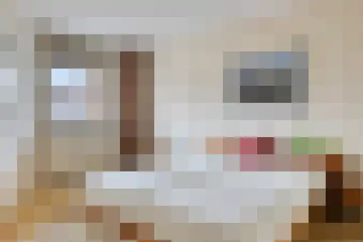 Marsmanplein 28 Oud-Beijerland thumbnail 15
