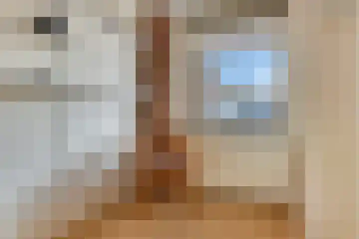 Marsmanplein 28 Oud-Beijerland thumbnail 17