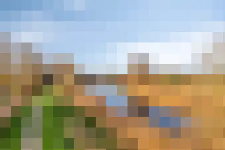 Marsmanplein 28 Oud-Beijerland thumbnail 31