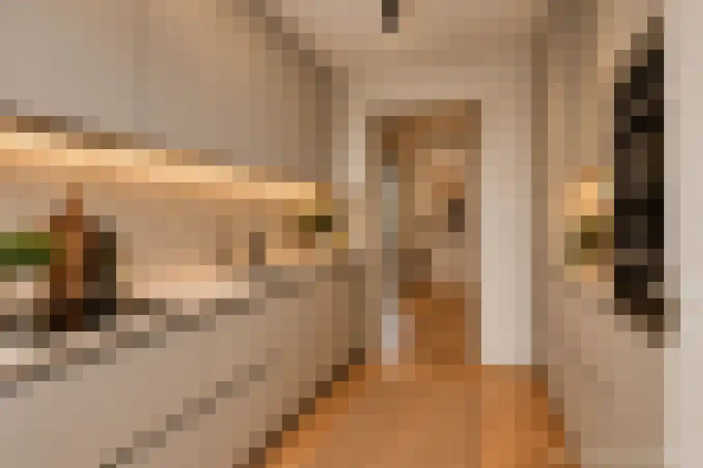 Marsmanstraat 102 Rotterdam thumbnail 8