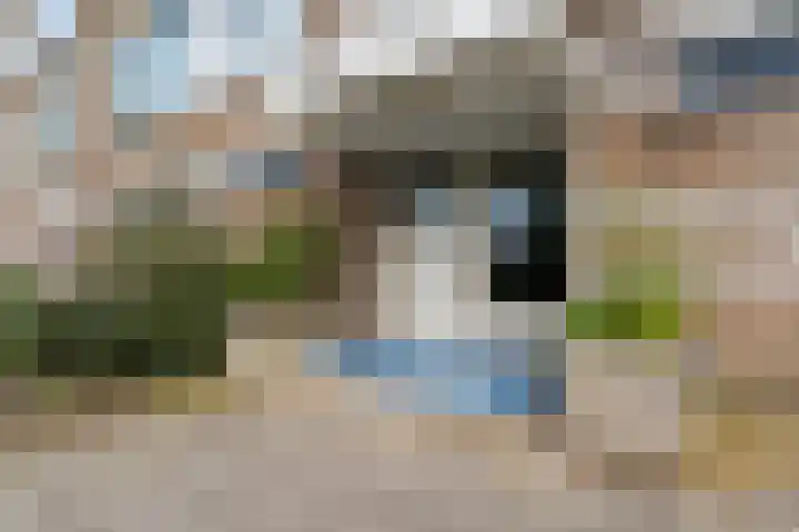 Marsmanstraat 106 Rotterdam thumbnail 12