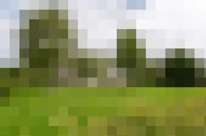 Marsmanstraat 106 Rotterdam thumbnail 35