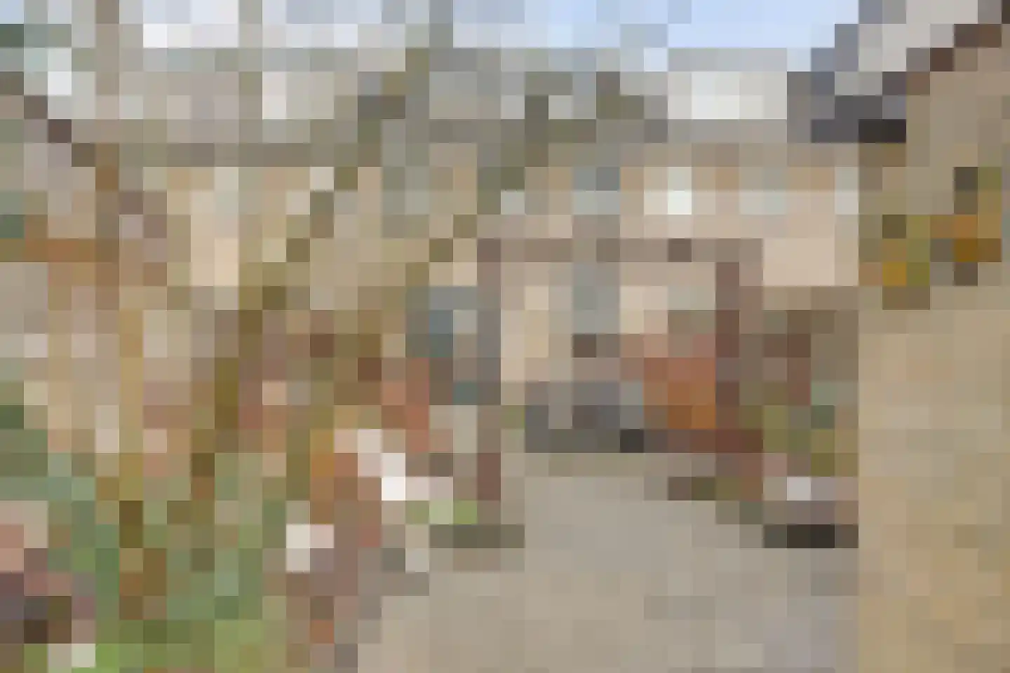 Marsmanstraat 14 Ridderkerk thumbnail 28