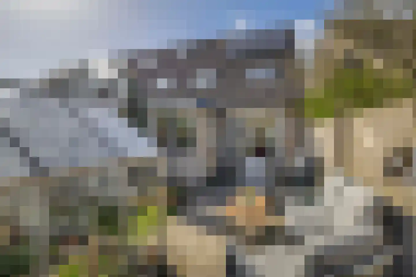 Marsmanstraat 25 's-Gravenzande thumbnail 21