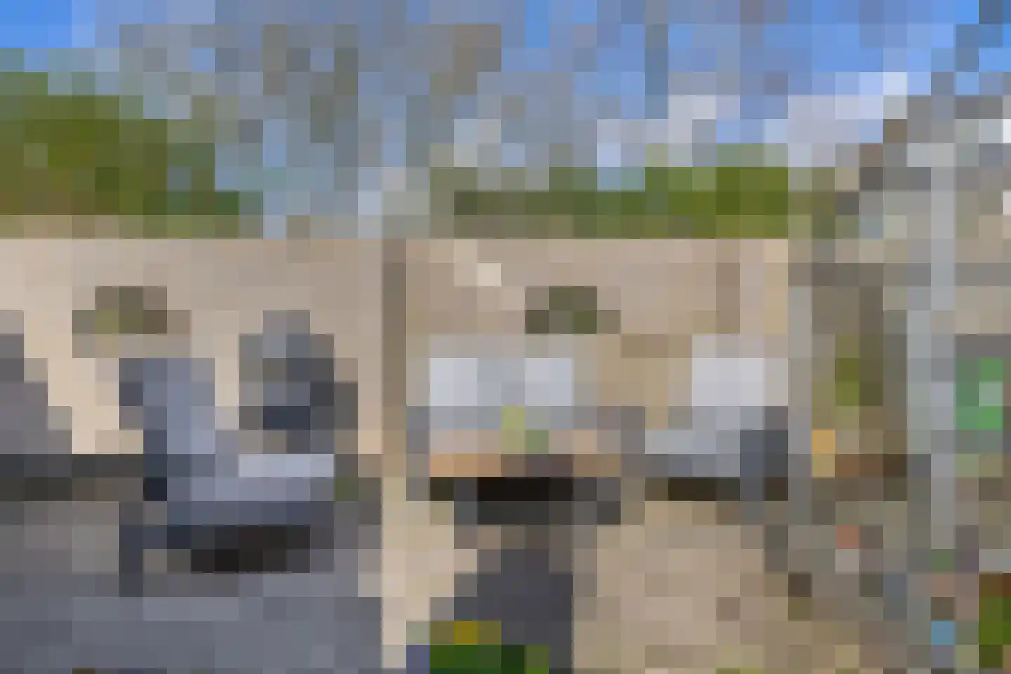 Marsmanstraat 25 's-Gravenzande thumbnail 45