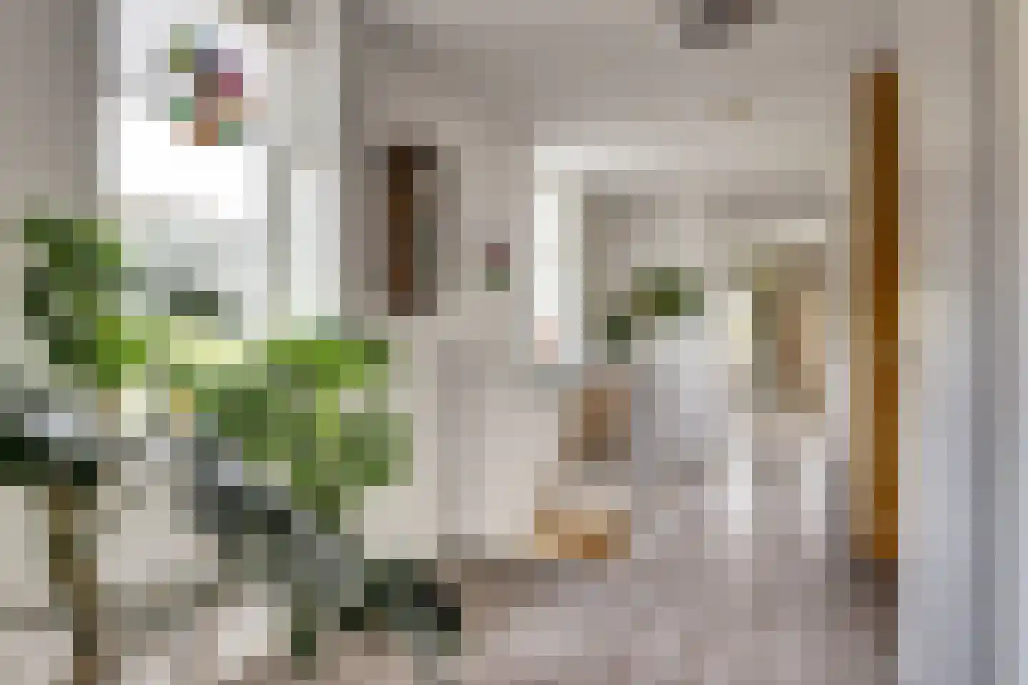 Marsmanstraat 8 Alkmaar thumbnail 25