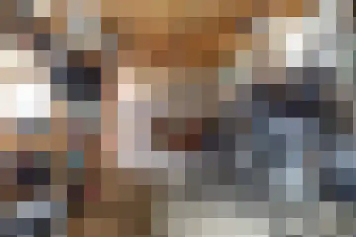 Marssingel 12 Grave thumbnail 41