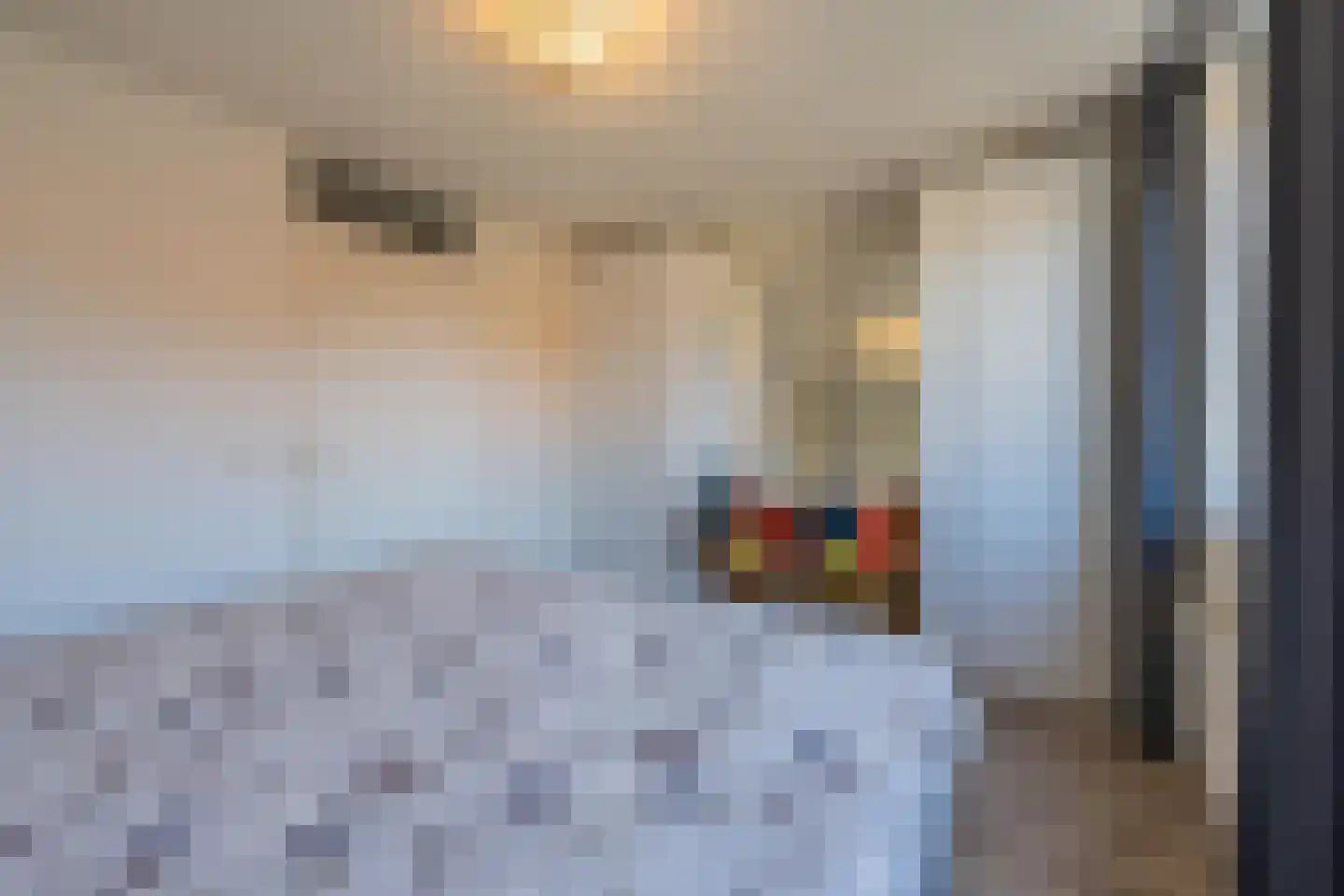Marsstraat 10 Culemborg thumbnail 47