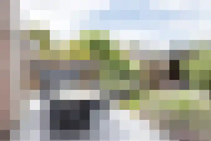 Marsstraat 11 Sittard thumbnail 24