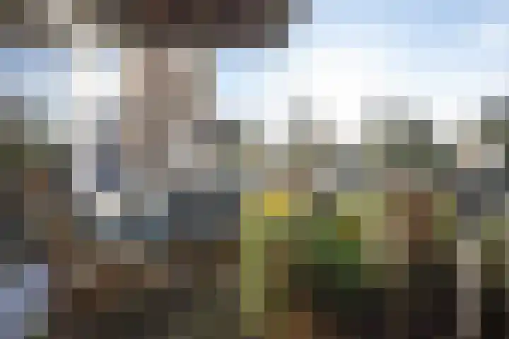 Marsstraat 12 Culemborg thumbnail 31