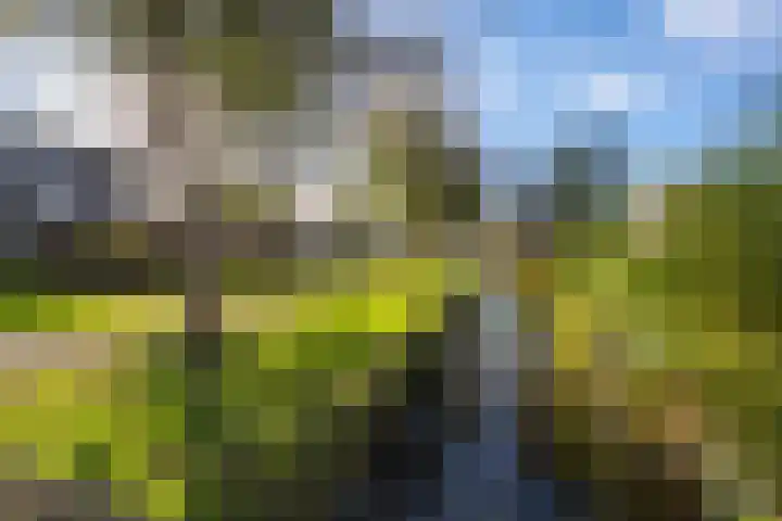 Marsstraat 12 Culemborg thumbnail 4