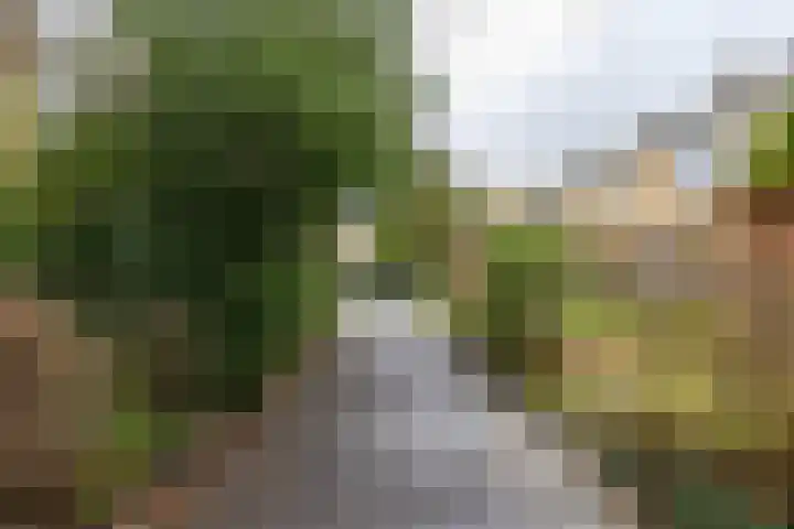 Marsstraat 141 Groningen thumbnail 41