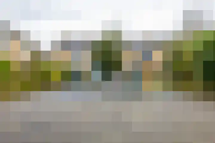 Marsstraat 141 Groningen thumbnail 5