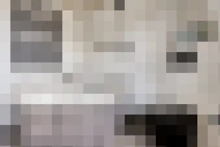 Marsstraat 33 Asten thumbnail 32