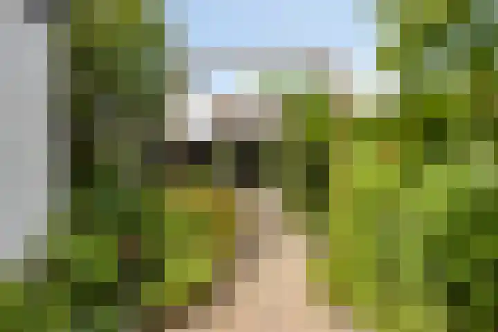 Marsstraat 33 Asten thumbnail 40