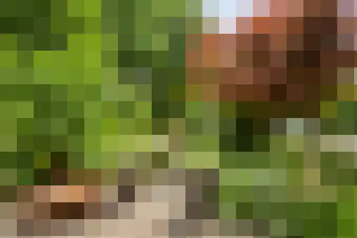 Marsstraat 33 Asten thumbnail 45