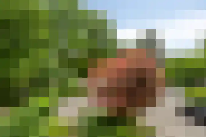 Marsstraat 33 Asten thumbnail 46