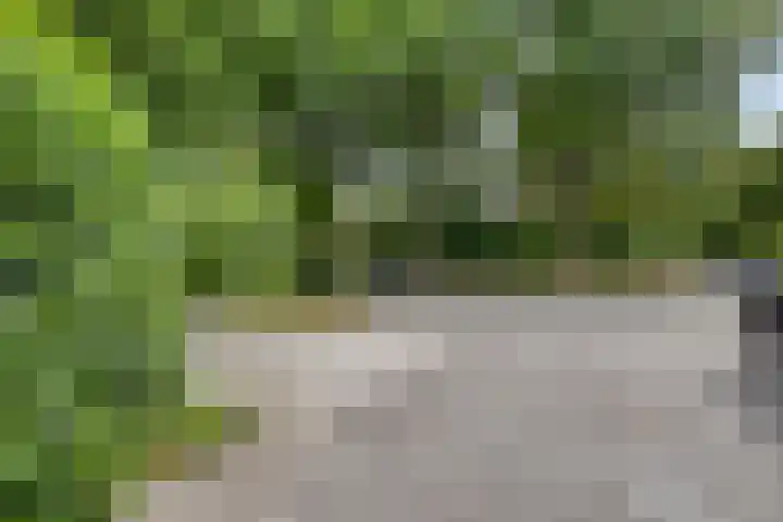 Marsstraat 33 Asten thumbnail 47