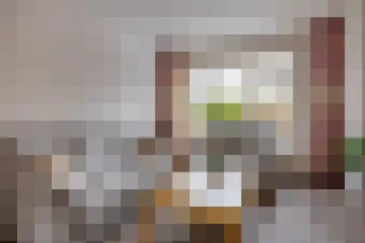Marsstraat 33 Groningen thumbnail 19