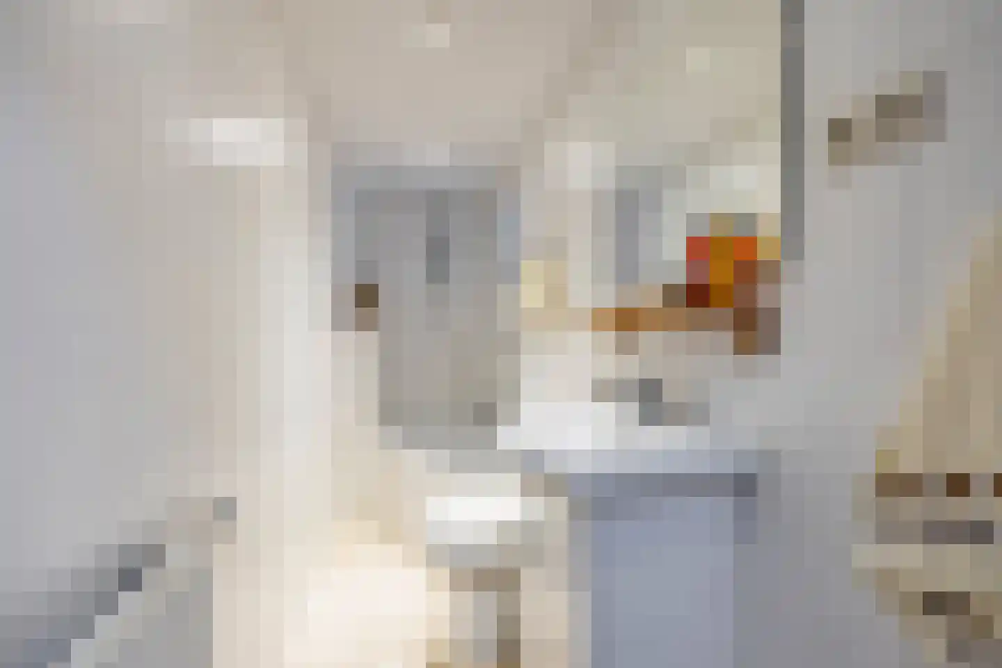 Marsstraat 33 Groningen thumbnail 33