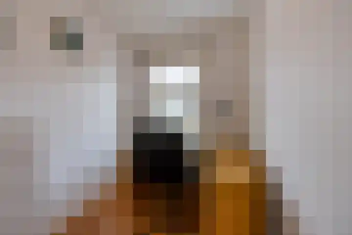 Marsstraat 33 Groningen thumbnail 42