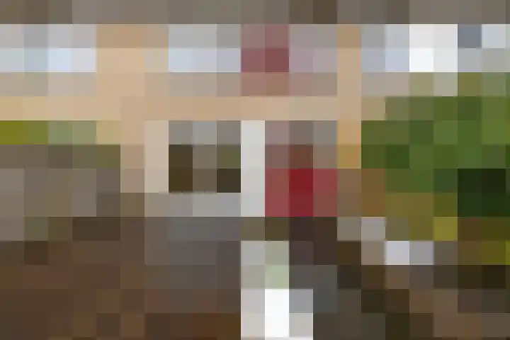 Marsstraat 33 Groningen thumbnail 49