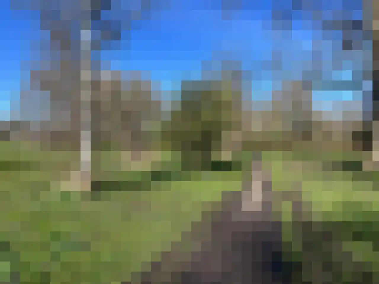 Marsstraat 33 Groningen thumbnail 50