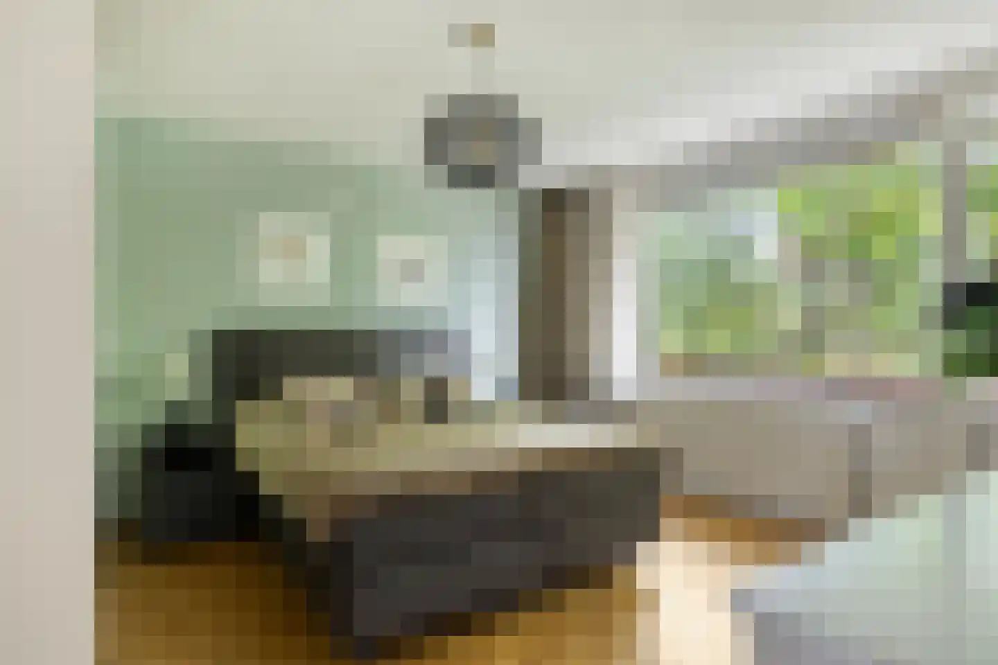 Marsstraat 37 Asten thumbnail 22