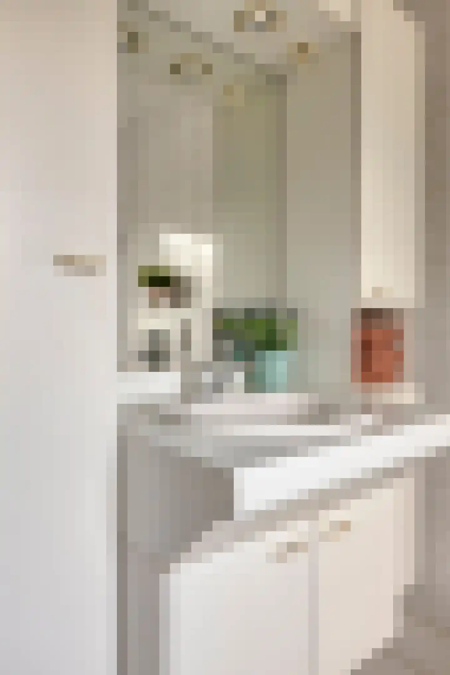 Marsstraat 37 Asten thumbnail 26