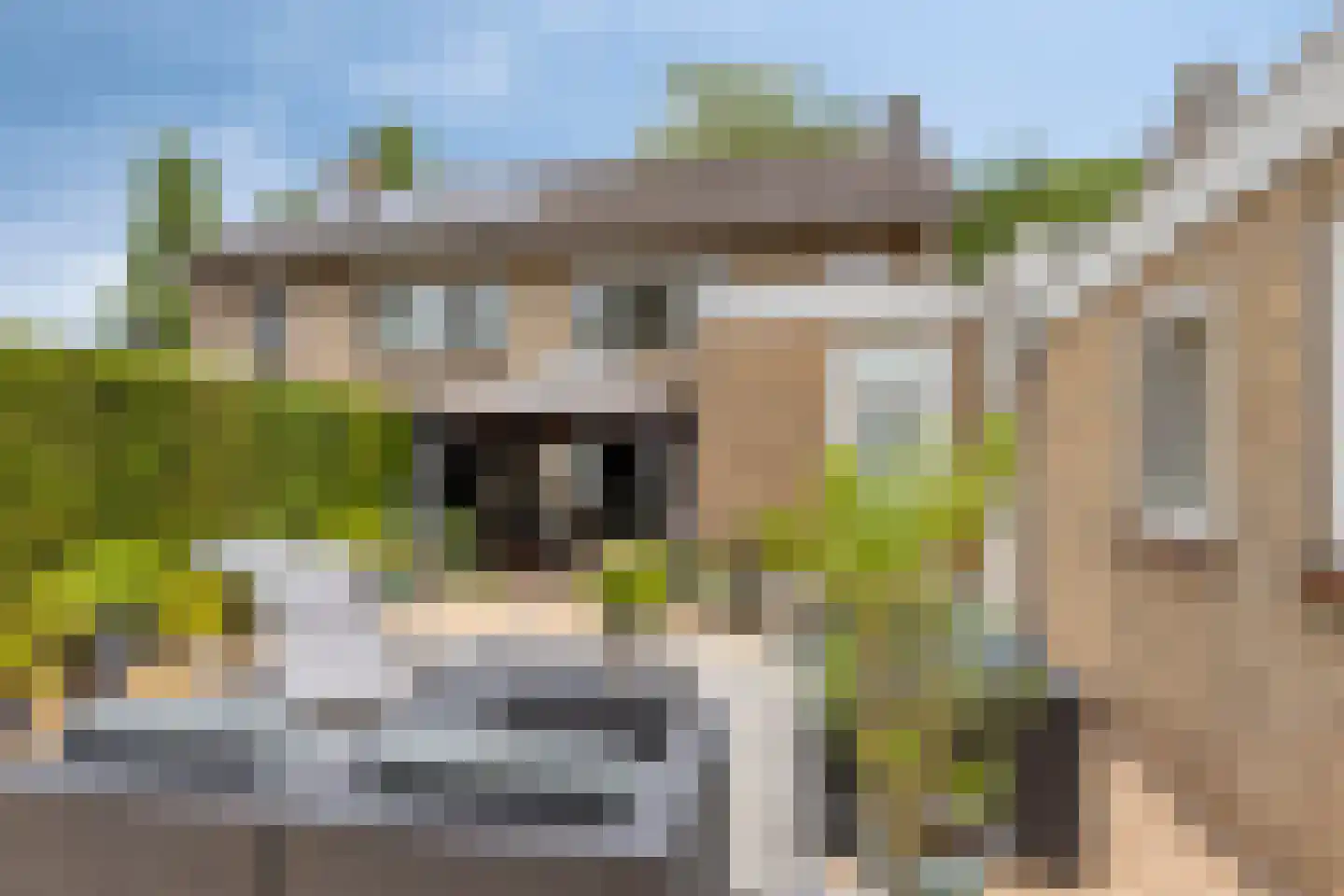 Marsstraat 37 Asten thumbnail 39