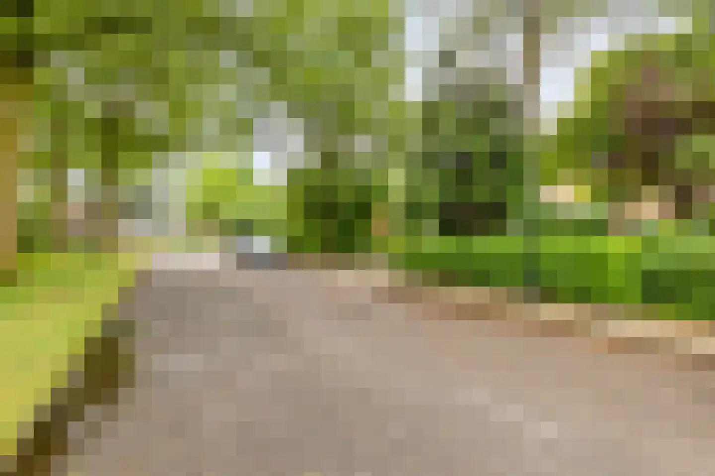 Marsstraat 37 Asten thumbnail 7
