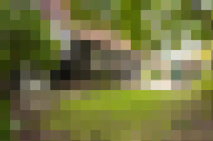 Marsstraat 4 Brunssum thumbnail 30