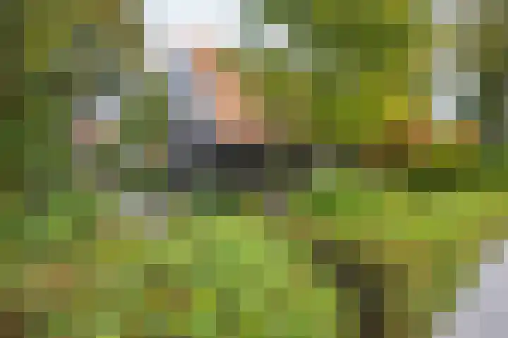 Marsstraat 4 Brunssum thumbnail 31