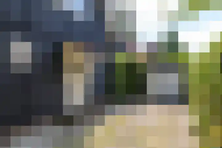 Marsstraat 6 Brunssum thumbnail 39