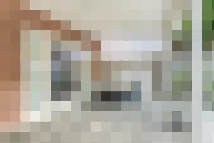 Marsstraat 6 Tilburg thumbnail 22
