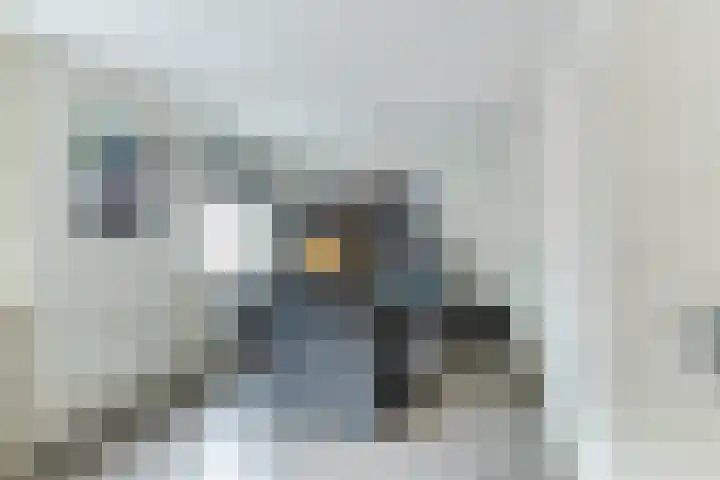 Marsstraat 6 Tilburg thumbnail 9