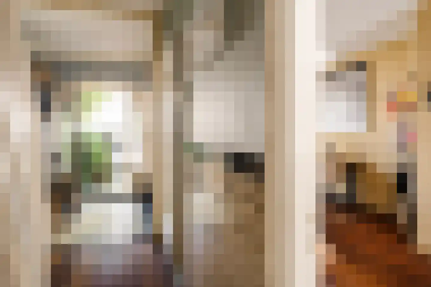 Marsstraat 78 Haarlem thumbnail 9
