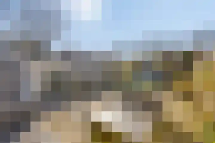 Marsstraat 9 Dongen thumbnail 6
