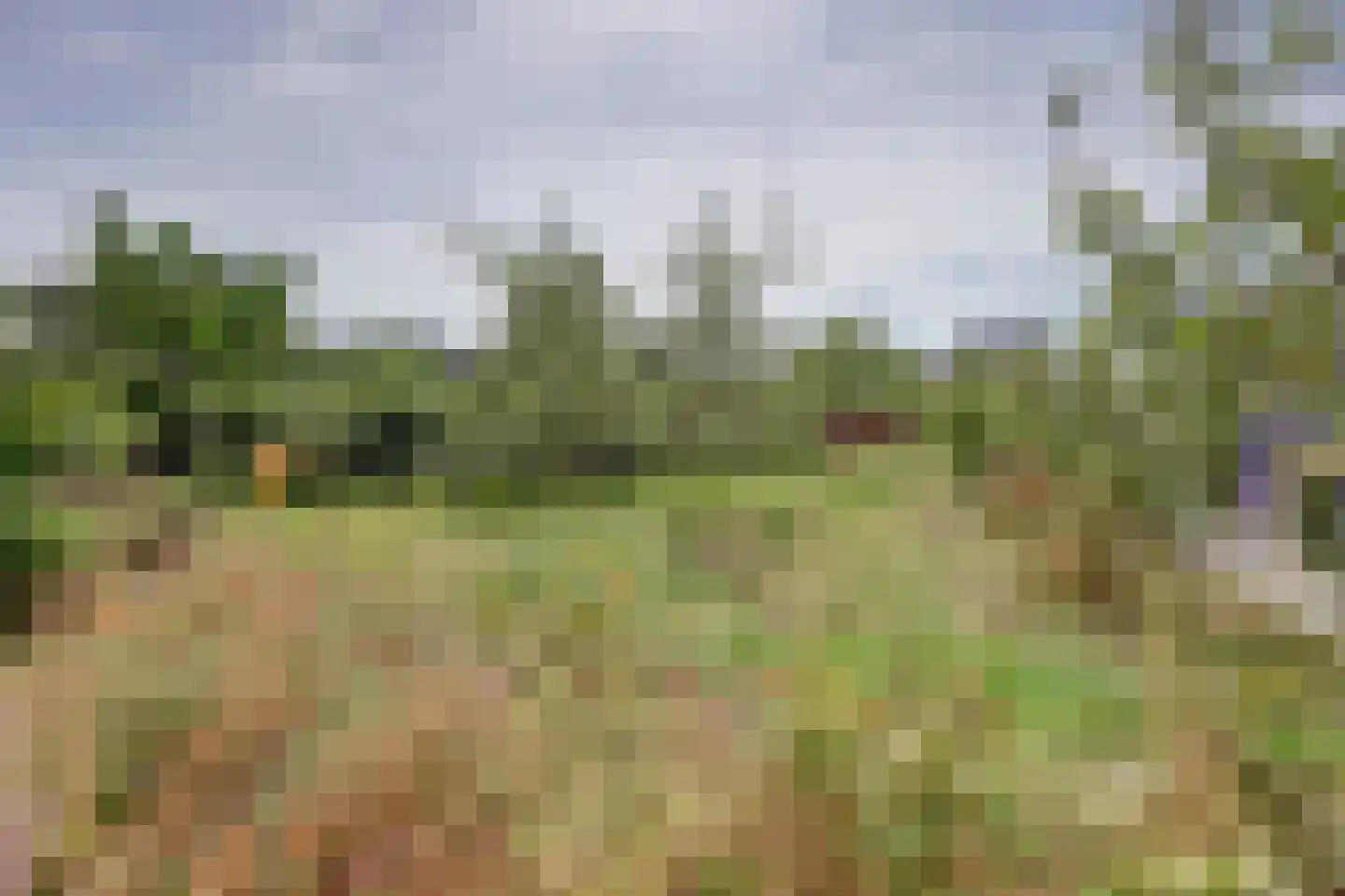 Marsstraat 94 Almere thumbnail 30