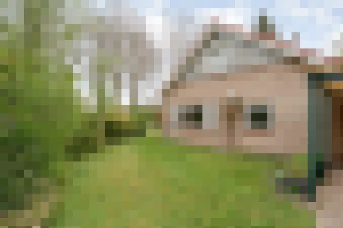 Marsstukken 37 Aalden thumbnail 11