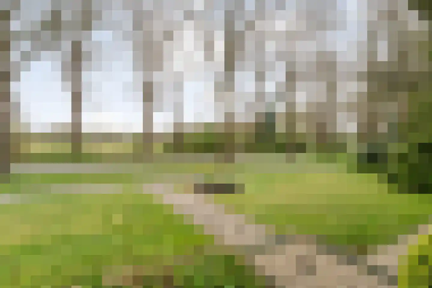 Marsstukken 37 Aalden thumbnail 13