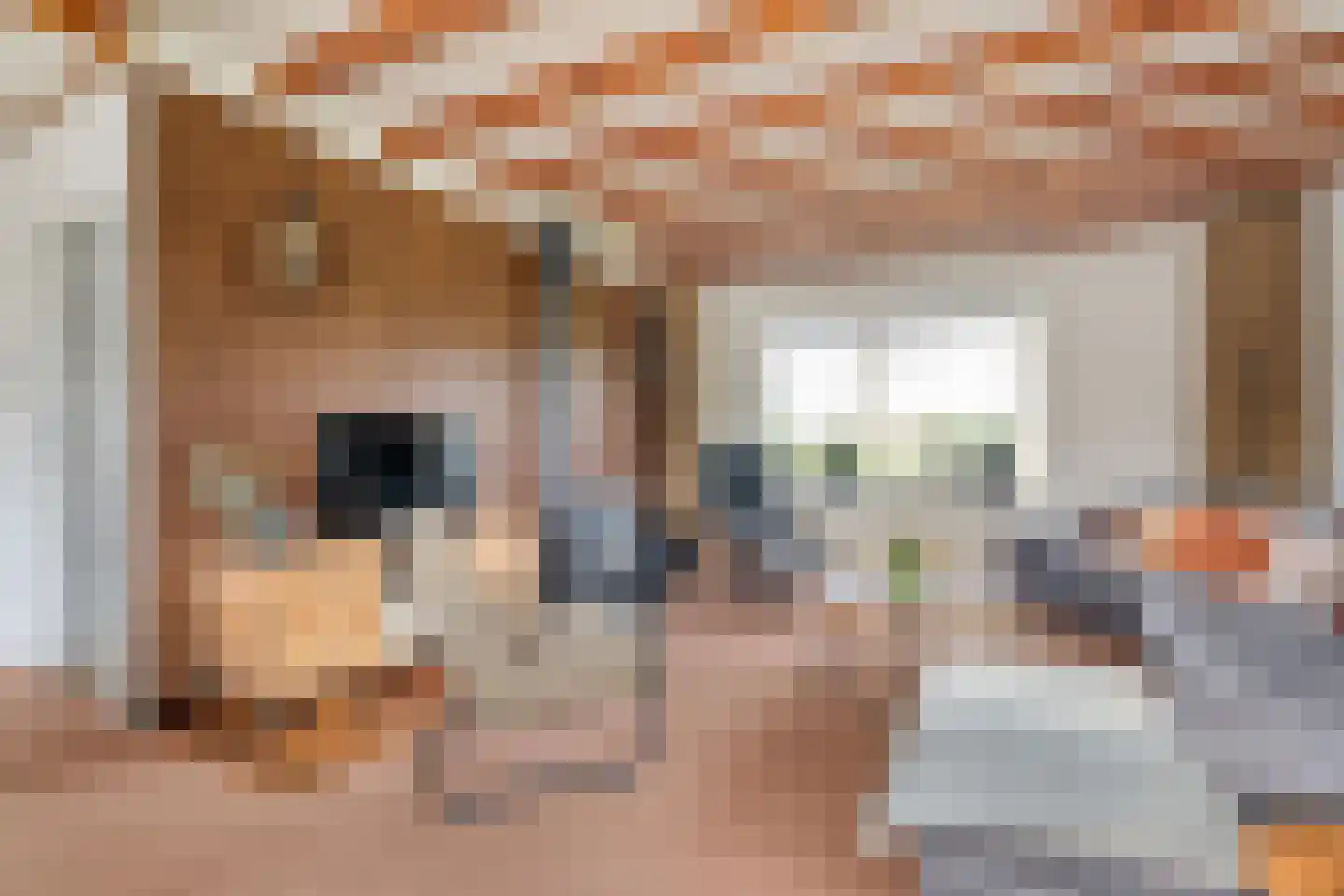 Marsstukken 37 Aalden thumbnail 20