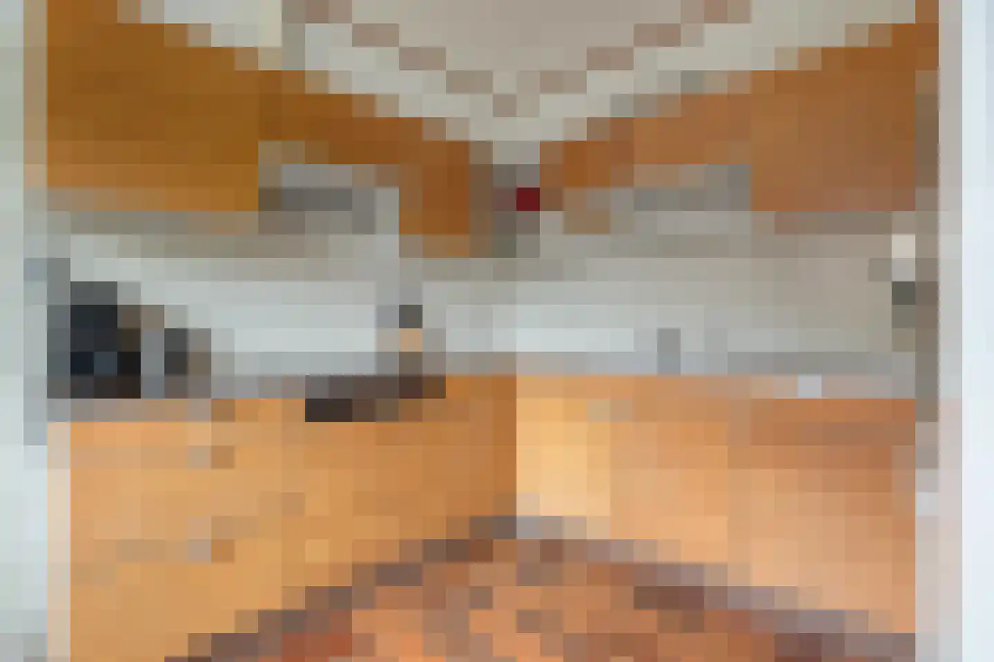 Marsstukken 37 Aalden thumbnail 26