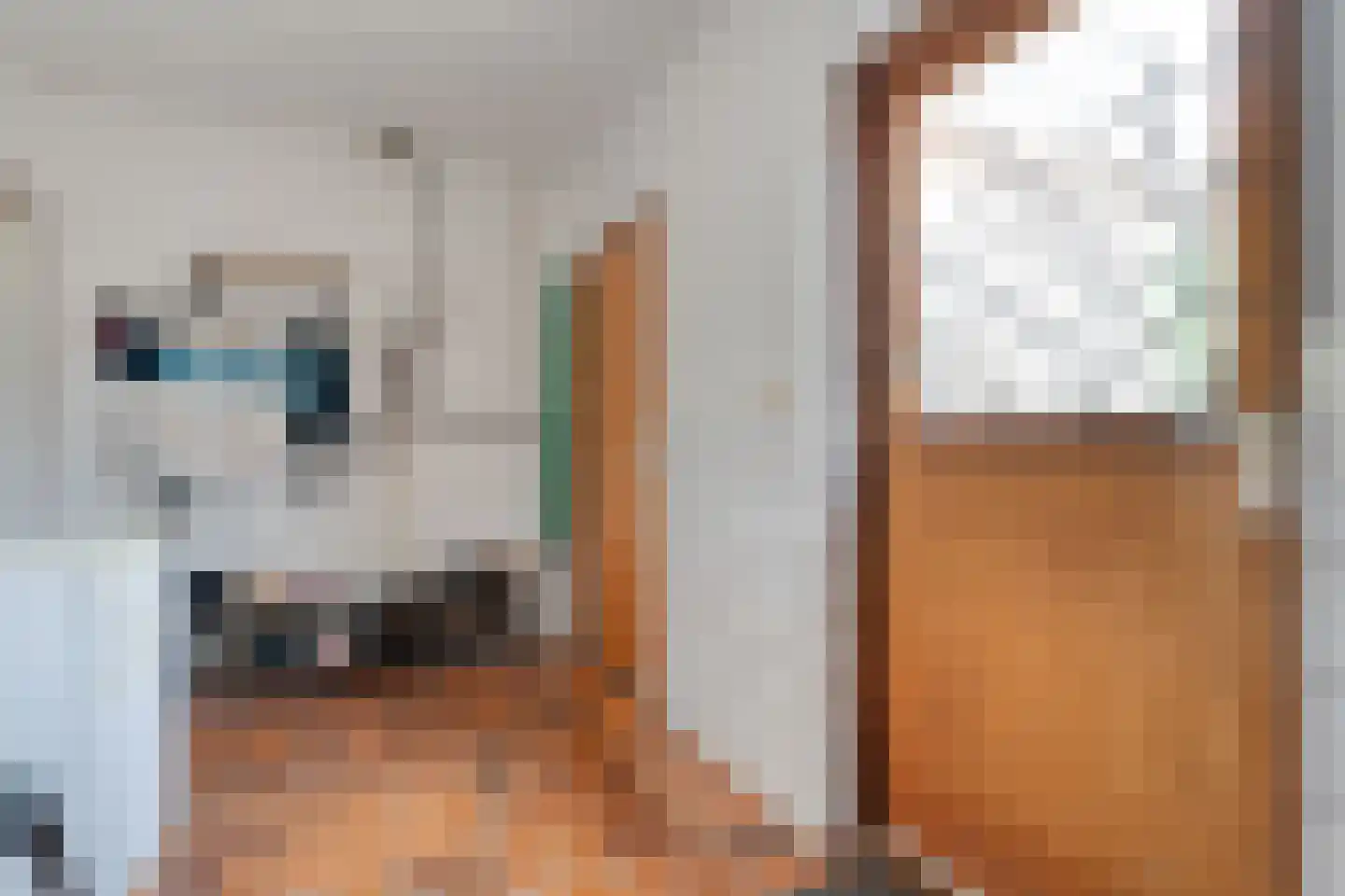 Marsstukken 37 Aalden thumbnail 35