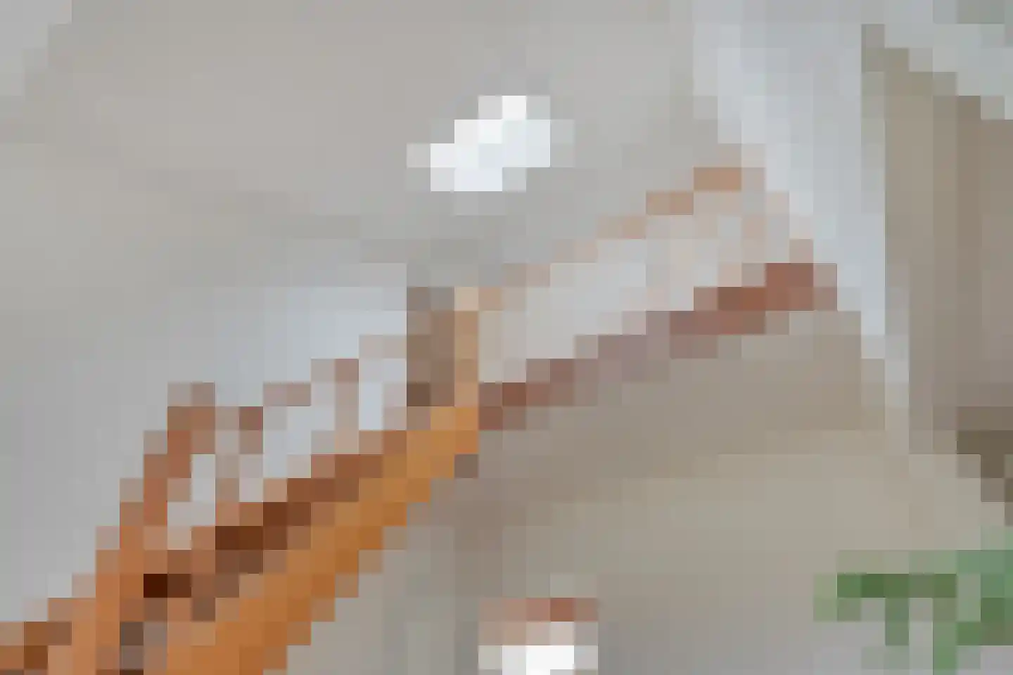 Marsstukken 37 Aalden thumbnail 36