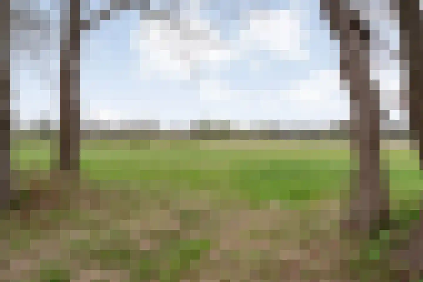 Marsstukken 37 Aalden thumbnail 49