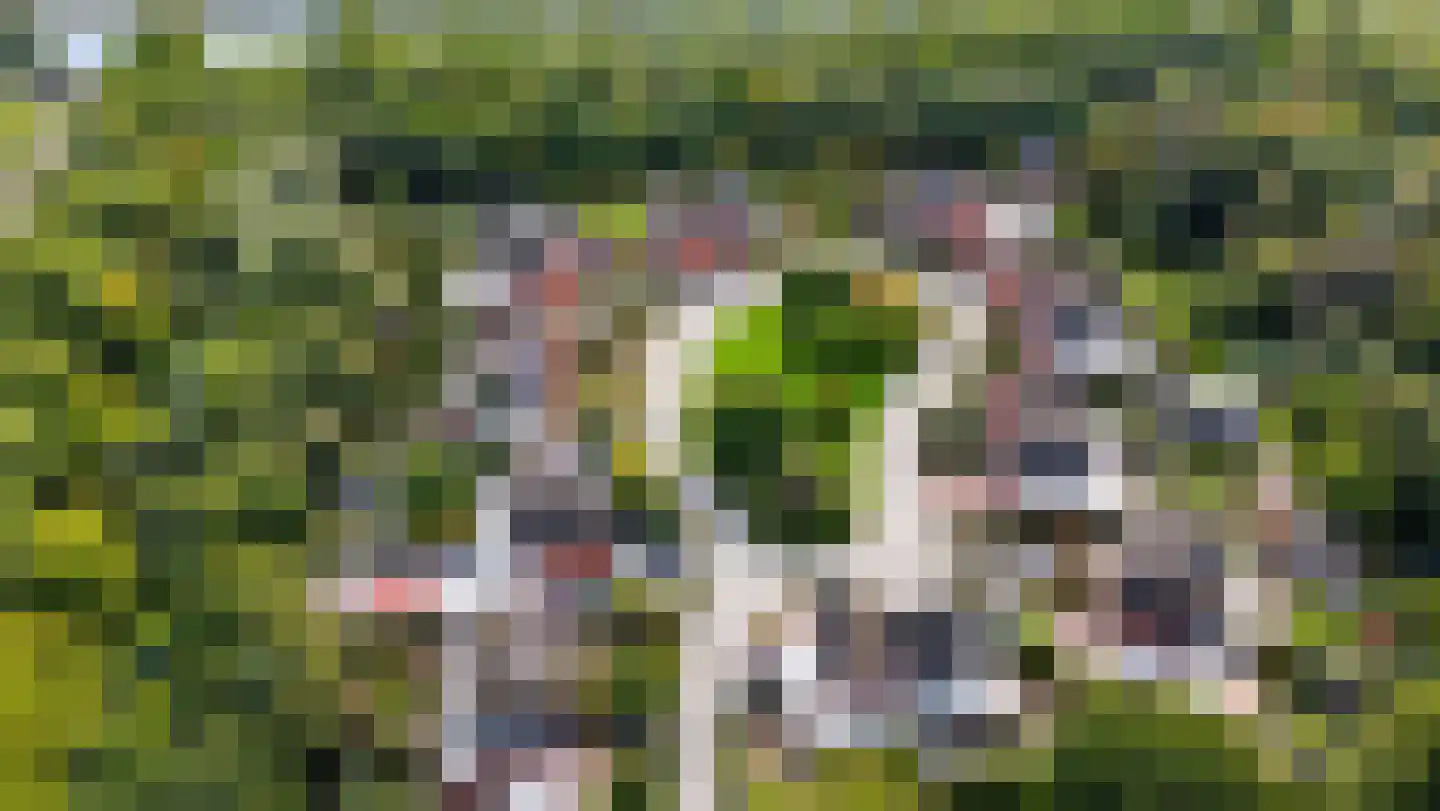 Marsupilamihof 17 Almere thumbnail 4