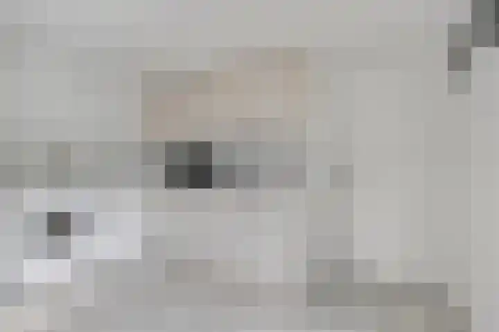 Marsweg 17 Didam thumbnail 17